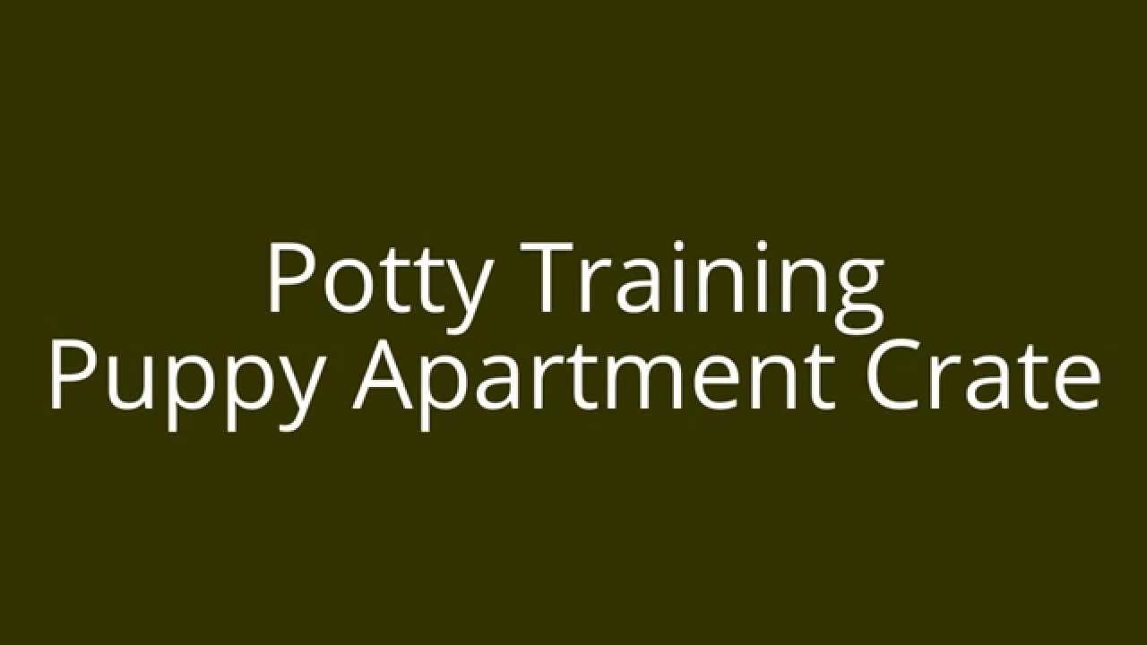 Potty Training Puppy Apartment Crate | FREE MINI COURSE ...