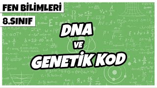 8. Sınıf Fen Bilimleri - DNA ve Genetik Kod | 2022