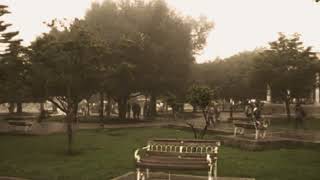 Exanimum - Diarrea Con Anemia