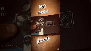 Tractive Cat