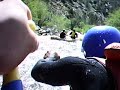 Thunder run Kern River Class 5 white water rafting Dina almost drowned