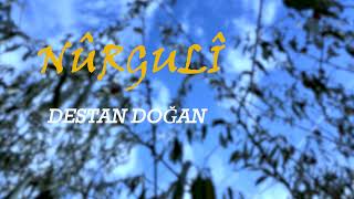 Nurguli̇