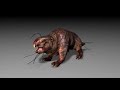 FALLOUT 3, 3D models+animations 2 (.c4d)