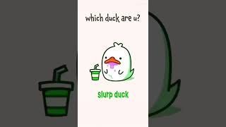 Which Duck Are You?