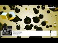 Mischa Daniels - Rango Tango (Original Mix) klip izle