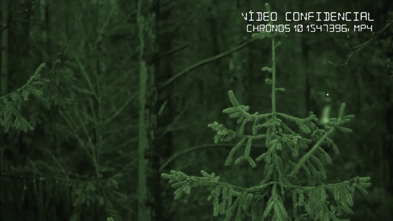 O Bosque - Trailer de 'Dino Hazard: Realidade Oculta'