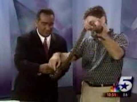 TV newsman goes insane!