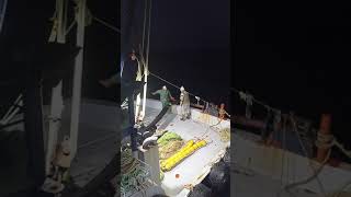 Orta Su Hamsi̇ Bali̇gi̇ Ki̇yi̇koy Bali̇kci̇ Yasi̇n Part 2