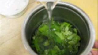 Nana - Cilantro Sorbet