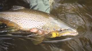 The River trailer