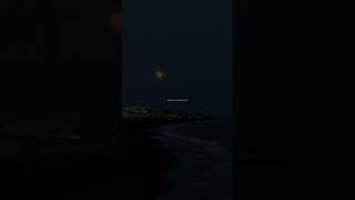Xcho - I Can Fly