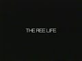 The Ree Life - Switch