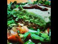 comida crudivegana