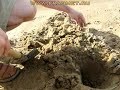 - Н. Бюджетный профессиональный металлодетектор.