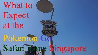 What to expect at the Pokemon Go Safari Zone Singapore at Sentosa