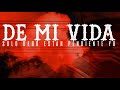 Mvp Video preview