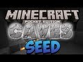 Minecraft: Pocket Edition