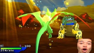This Is Why You Use Noivern