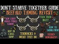 Don't Starve Together Guide: Beefalo Taming Revisit - Easier Now? Worth It?