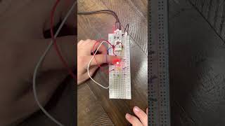 Computer Interfacing, Lab 2, Part 1. Stm32Cubeide With Nucleo-F303K8 3 Leds Blinking