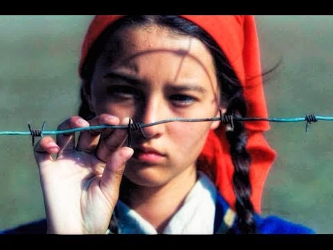 Смотреть гидонлайн фильмы 2014 года в хорошем качестве