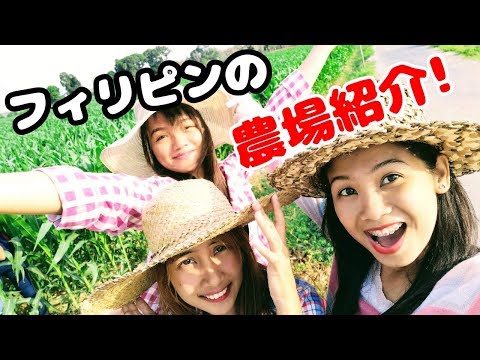 【パロッツ君】農場実習に参加するとこんな感じらしい