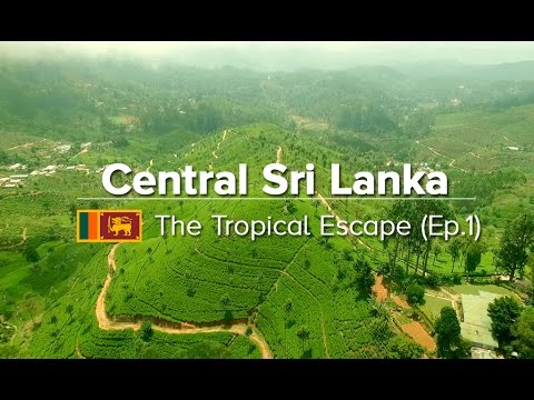 Central Sri Lanka: Things to do in Kandy, Sigiriya & Polonnaruwa (Tropical Escape #1)