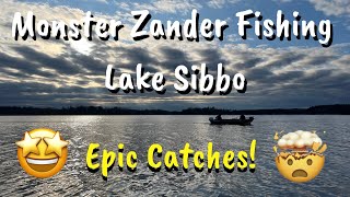 Monster Zander Fishing Lake Sibbo - Huge Catches