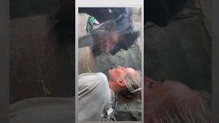 DILy88EtslE Video Image