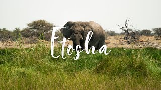 NAMIBIA ROADTRIP - PART 3