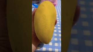 Giant Mango