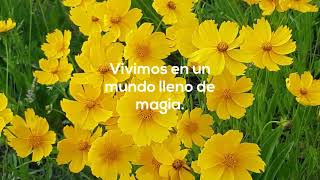 Viajes En Oferta Agencia de Viajes Digital