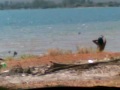 Mulher tomando banho pelada no lago paranoa - youtube