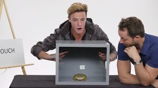 Cameron Dallas Touches a Frog, a Dead Octopus & Other Weird Stuff | Vanity Fair Cameron Dallas Touches a Frog, a Dead Octopus & Other Weird Stuff | Vanity Fair
