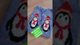 Şablon 2 Yaş Tunus Işi Yelek Template 2 Years Old Tunisian Work Vest