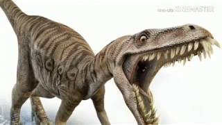 डायनासोरों का अंत और इंसानों का जन्म जरुर देखें Where Did Humans Come From डायनासोरों का अंत और इंसानों का जन्म जरुर देखें Where Did Humans Come From