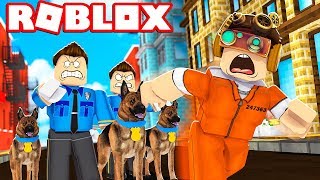 SONO IN PRIGIONE CON TUTTI I MIEI AMICI SU ROBLOX!! *MAD CITY*