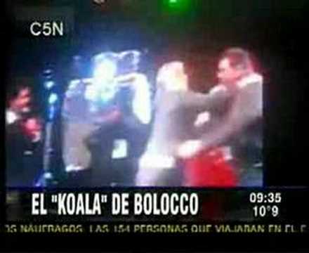 bolocco otro papelon 36033 shouts cecilia bolocco en alfombra roja