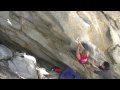 Year of the Cockroach - V6 (Tramway)