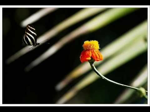 Pal Pal Dil Ke Paas Tum Rahti Ho ... (Voice -- Prakash Govind...