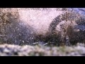 Enduro Chronicles - Le Touquet Race - Episode 2