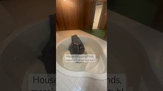Weird House Shopping Finds
