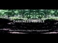Mumford & Sons - Darkness Visible (Lyric Video)