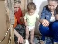 köpekler