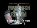 (MAD KUSH RIDDIM) SEEDA & DJ TY-KOH(NEWERA Remix)