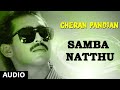 Samba Natthu Song | Cheran Pandiyan Songs | Sarath Kumar, Srija | Soundaryan | Tamil Old Songs