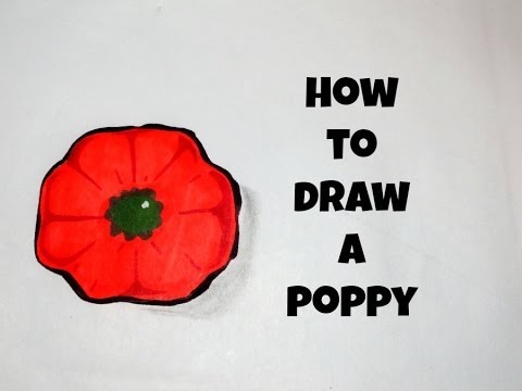 How To Draw A Simple Poppy - YouTube
