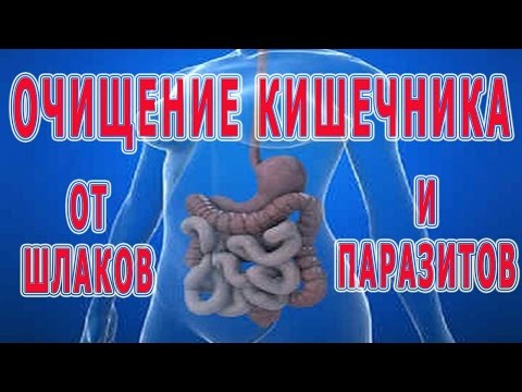 Способ очищение желудка Способ очищение желудка