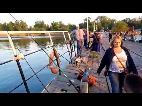 рыбалка в ростове на дону сегодня отчет рыбалка в ростове на дону сегодня отчет