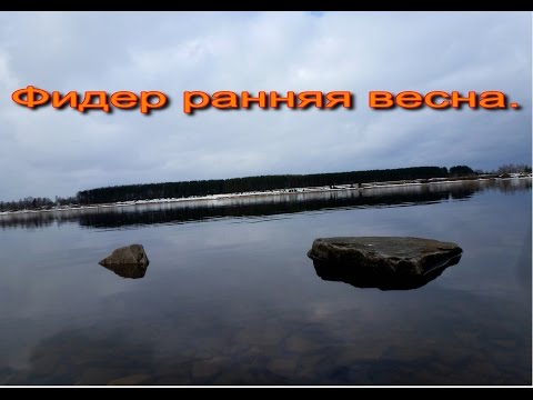 ранний весенний фидер на реке ранний весенний фидер на реке